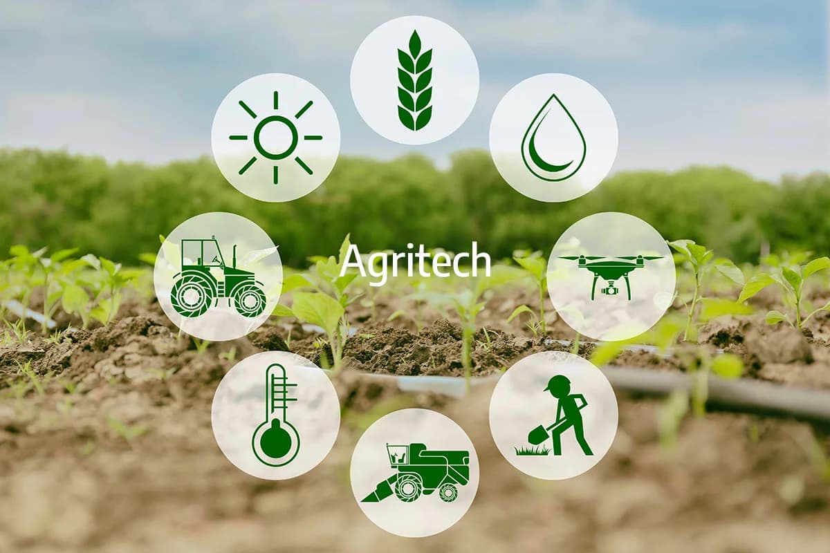 Agri Commodity Trading Firms